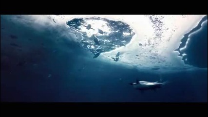 Demi Lovato & Joe Jonas - Underwater Tour (disneynature: Oceans) 