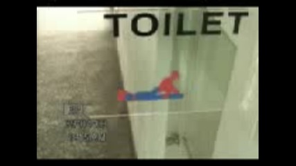 Funny Toilet Sex