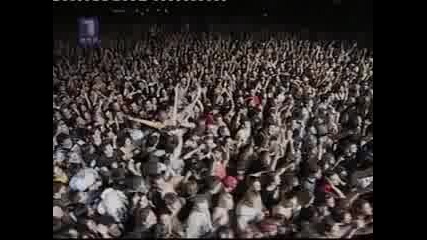 Billy Idol - Rebel Yell live at Exit 2006 Novi Sad Serbia 