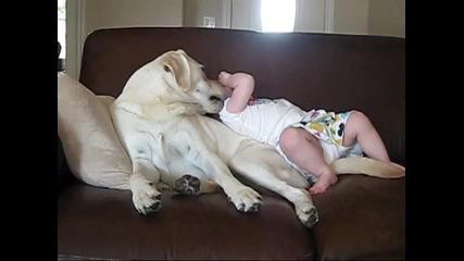 Истинско приятелство между бебенце и куче