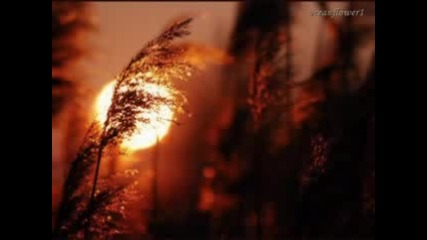 Cat Power - Wild Is The Wind