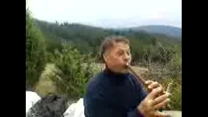 Гукай ми гукай