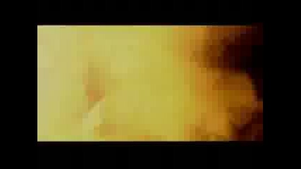 Metsatoll - Hundi Loomine