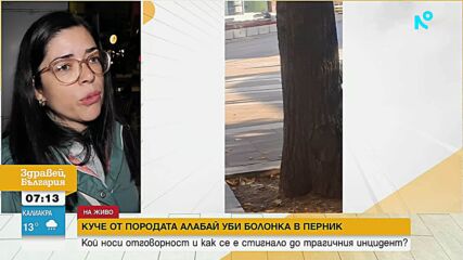 Огромен алабай нападна друго куче в Перник