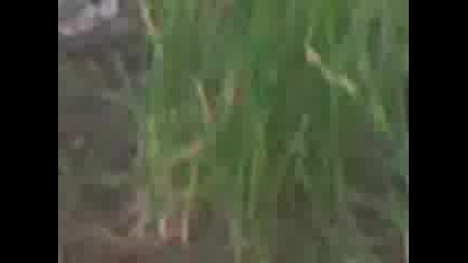 невидим колоездач :d 