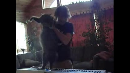 Jimmy Лудия - Re Kitten Composer