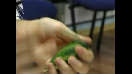 Майстор на карвинга 