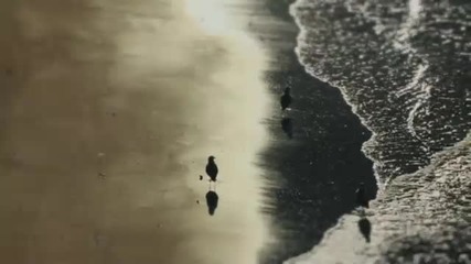 Maroon 5 - Never Gonna Leave This Bed