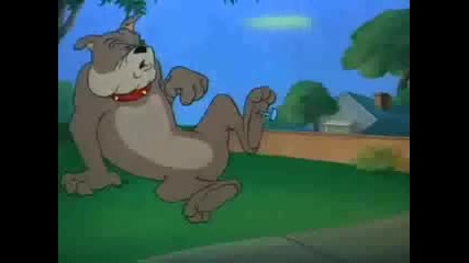 Tom & Jerry Пародия