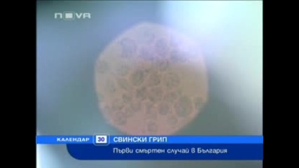 Първа жертва на свинския грип в България 