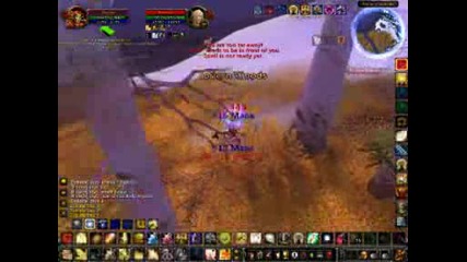 Wow - Paladin Pvp 