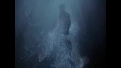 Breaking Dawn Trailer