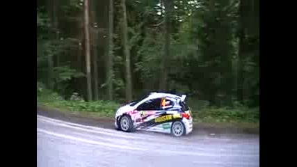 Krum Donchev - Crotia Delta Rally 2009