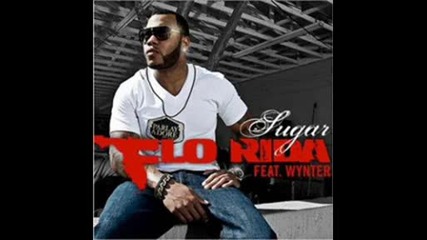 Flo Rida - Sugar (djsaar Electro Remix)