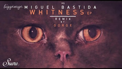 Miguel Bastida - Wench ( Original Mix )