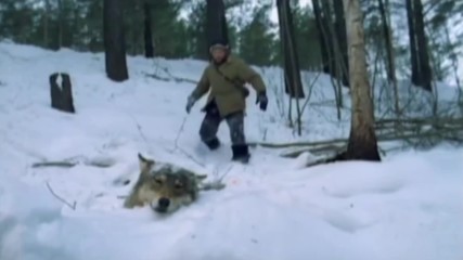 Вячеслав Сидоренко - Волк