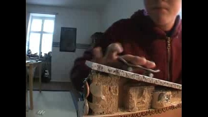 Fingerboard Curbs.flv
