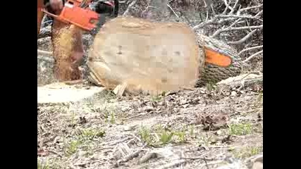 stock husqvarna chainsaw 2100 8 pin 36quot bar
