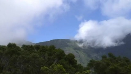 Piano Rain Relaxing Music - Nature Scenes