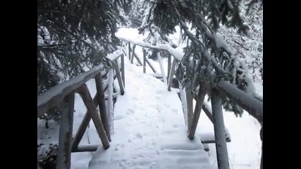 Честит първи сняг! Снежна Витоша 2015