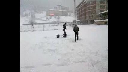 skok v snega