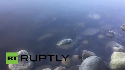 Canada: Oil spill seeps in Vancouver's English Bay