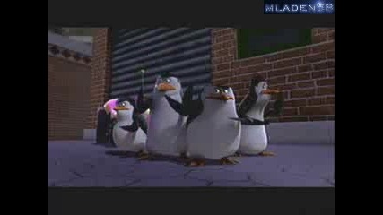 The Penguins Of Madagascar - Popcorn Panic