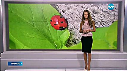 Прогноза за времето (11.05.2016 - централна)