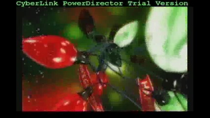 ani4ka