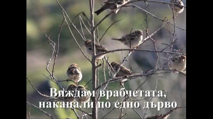 Chery Keaggy - He Will Look After You (той се грижи за теб)