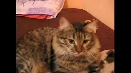 Мъра Бесува 3