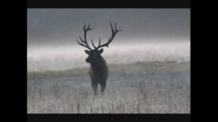 Narnia - Misty Morning