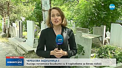 Черешова задушница е