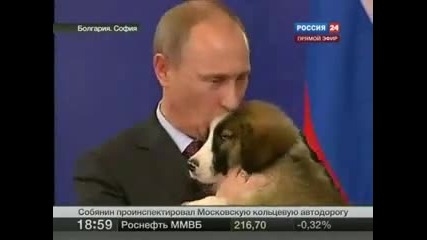 Приемат се Предложения за Име на Българското Куче на Владимир Путин 