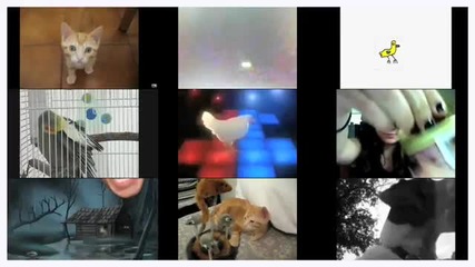 Малко котенце се чуди кое филмче да гледа