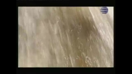 Райна - Сватба