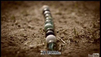 25 ep