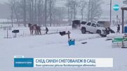 Амиши с коне изтеглиха затънал в преспите високопроходим джип