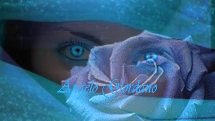Blue Roses