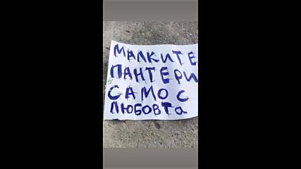Vid_52280612_083414_271.mp4