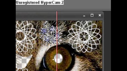 Corel Paint Shop Pro Photo X2 (3)