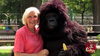 Скрита Камера голям смях горила замеря жена с бананеви кори !!!