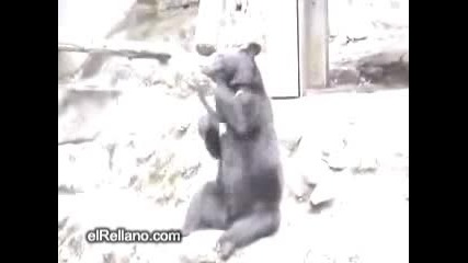 Мечка Се Бие