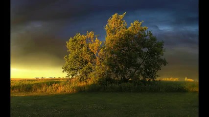 novaline - - run away[2010]