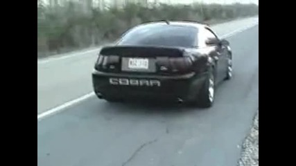 Supercharger Mustang Cobra