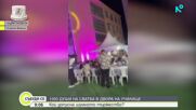 Полицията проверява кой е разрешил сватбата в училищен двор във Видин, наложени са глоби