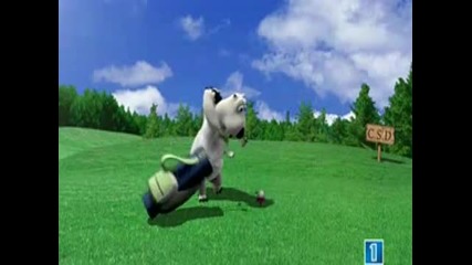 el oso berni el golf 