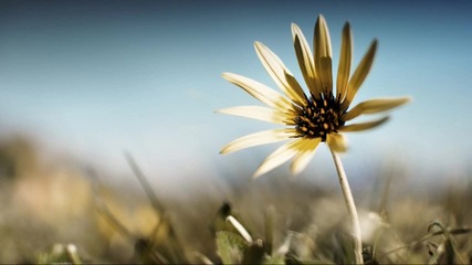 Learning To Cope