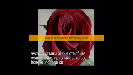 Ню Йорк епизод 20 