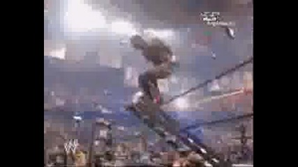 Wwe And Tna Tribute